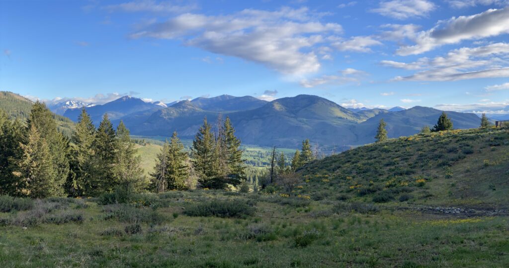 Hills blanketed in yellow balsamroot overlooking the Methow Valley in Washington during spring.