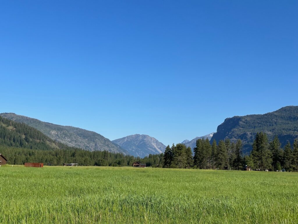 Lush green field in Timberline Meadows, Mazama, Washington, surrounded by forested hills and clear spring skies.