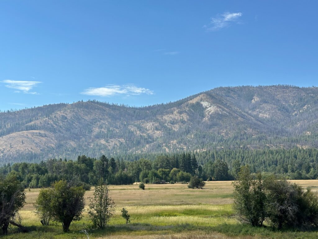 Mixed green and golden hues across fields and trees in the Methow Valley during late summer.
